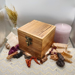 Boite à montre "Rustique" - Frêne olivier et Houx