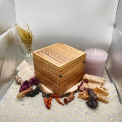 Boite à montre "Rustique" - Frêne olivier et Houx