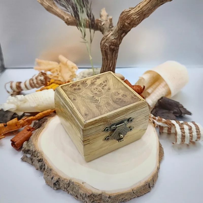 Petite boite en Chêne, Noyer et loupe d'Orme