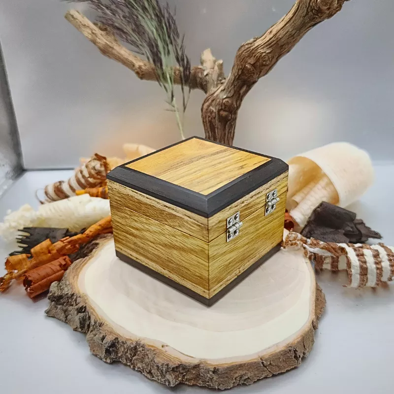 Petite boite en Robinier, Cytise, Ebène du Gabon et Frêne