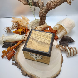 Petite boite en Robinier, Cytise, Ebène du Gabon et Frêne