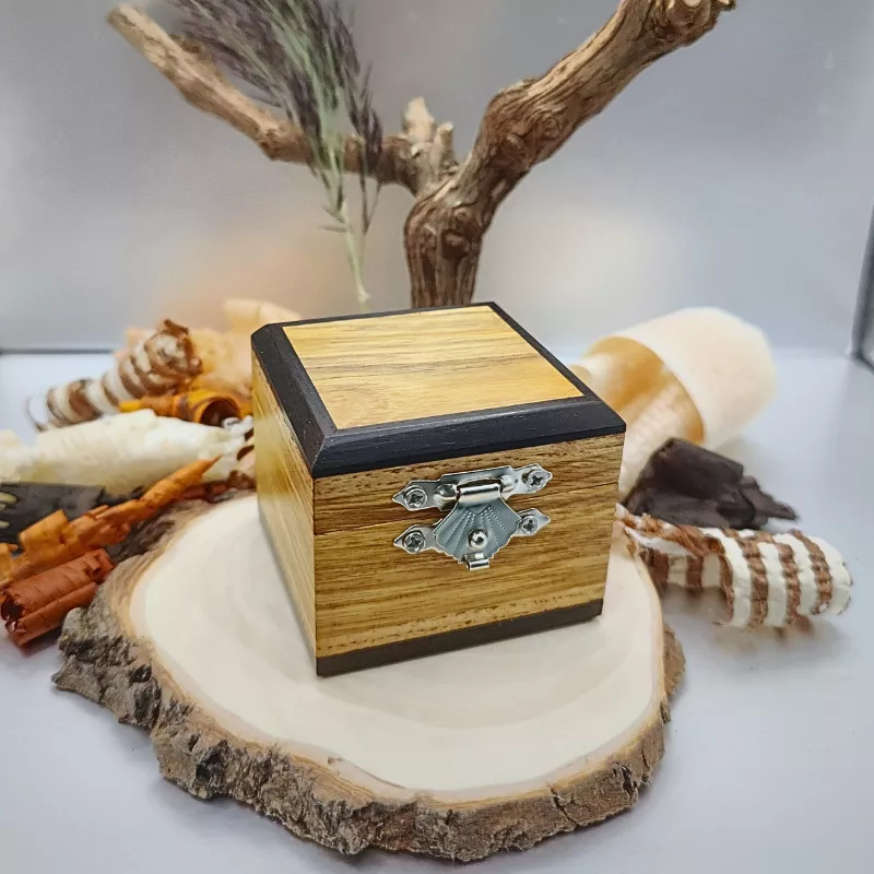 Petite boite en Robinier, Cytise, Ebène du Gabon et Frêne